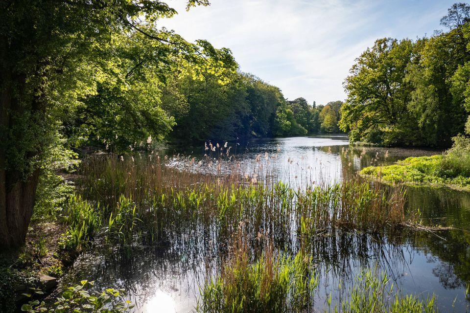 Cycling tours in Berlin: 10 great tours for your city trip