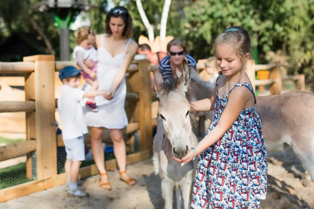 Berlin with children: 20 excursion tips for families